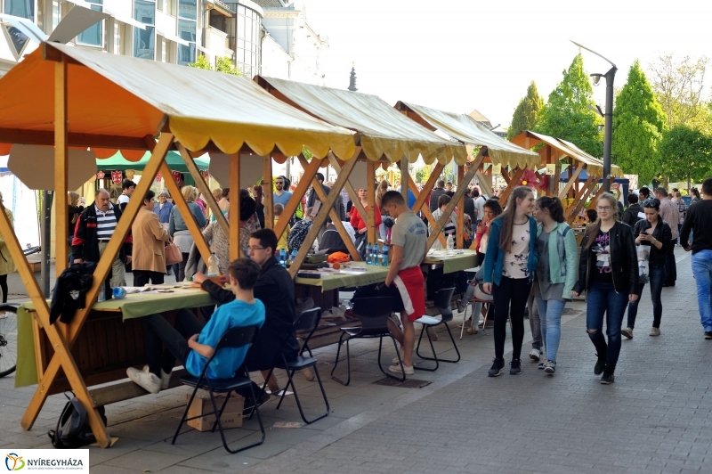 Helló Nyíregyháza Szakmák utcája