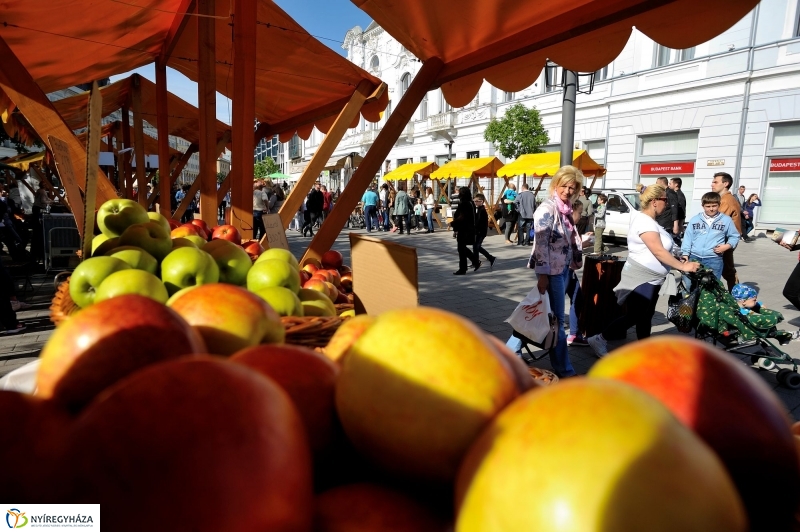 Helló Nyíregyháza Tavasz utca