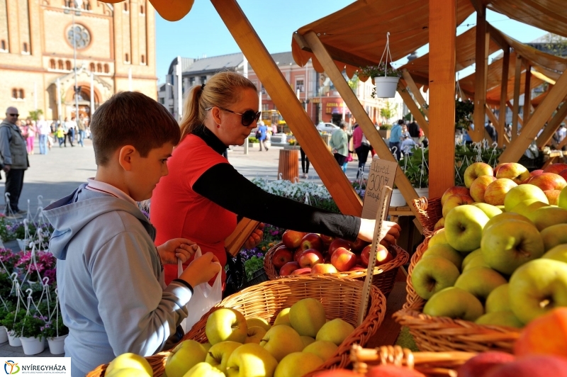 Helló Nyíregyháza Tavasz utca