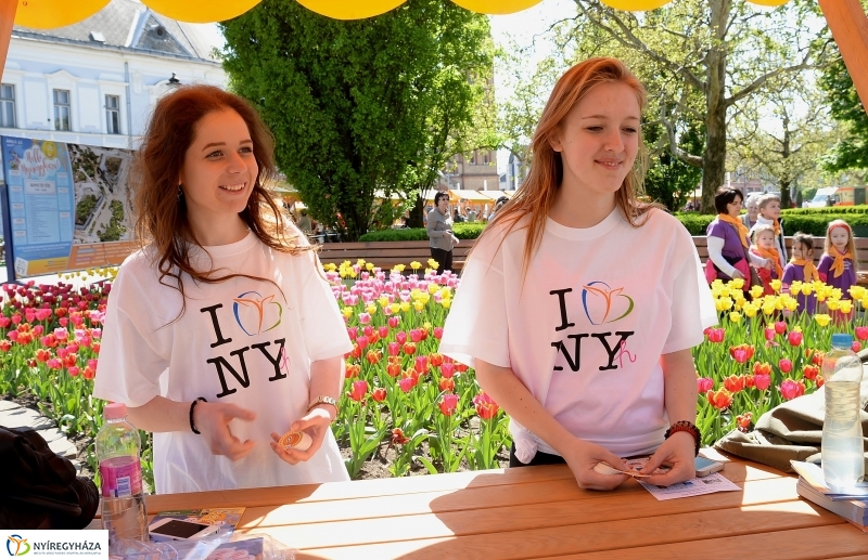 Helló Nyíregyháza napközben