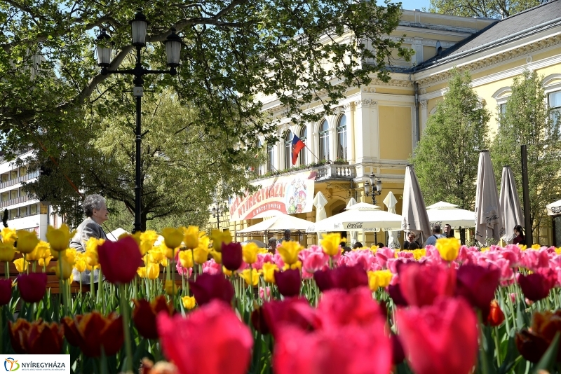 Helló Nyíregyháza napközben