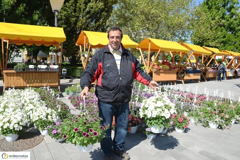 Helló Nyíregyháza napközben