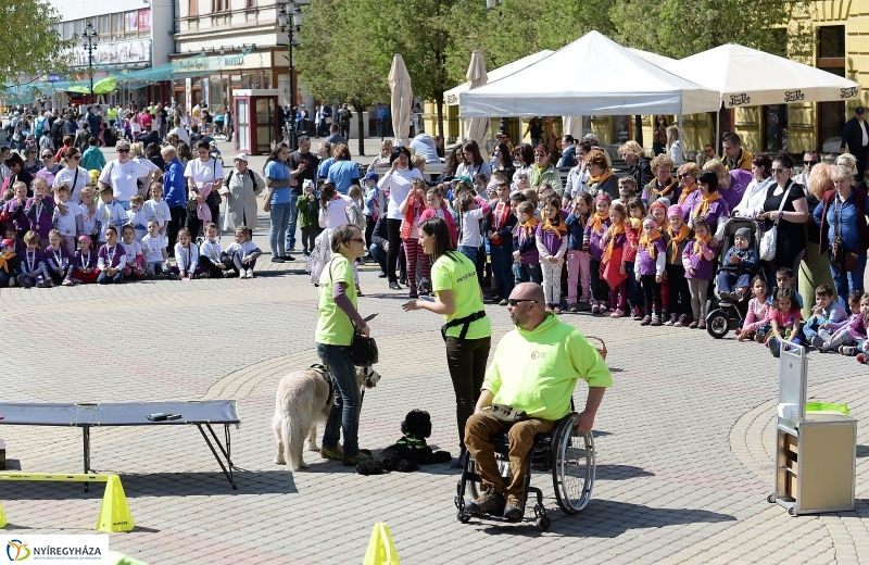 Helló Nyíregyháza napközben