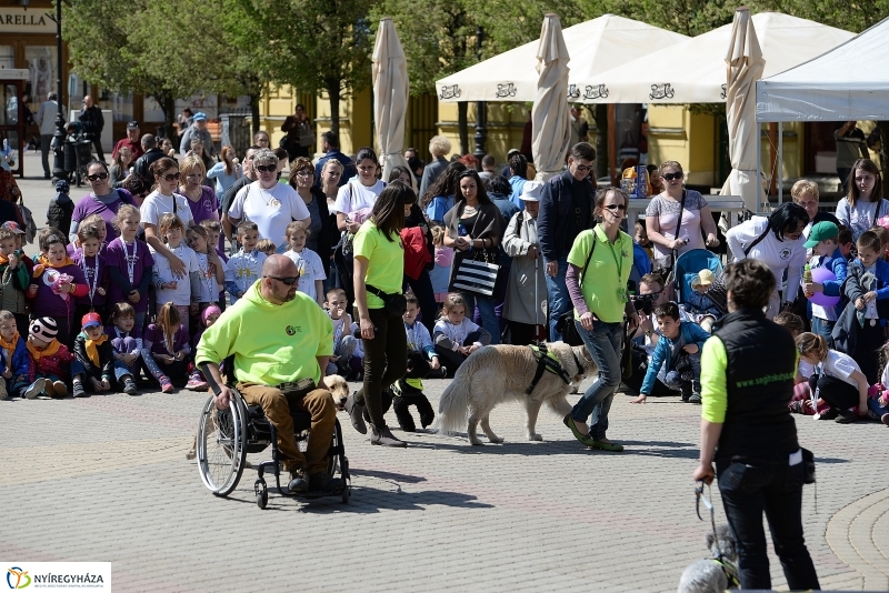 Helló Nyíregyháza napközben