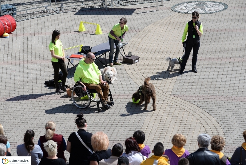 Helló Nyíregyháza napközben
