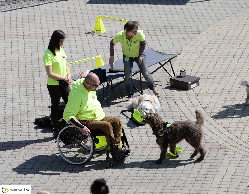 Helló Nyíregyháza napközben