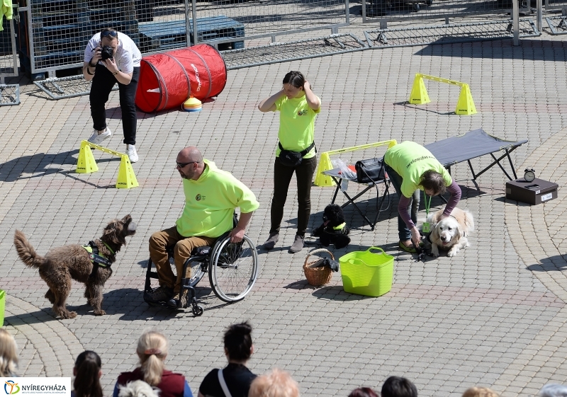 Helló Nyíregyháza napközben