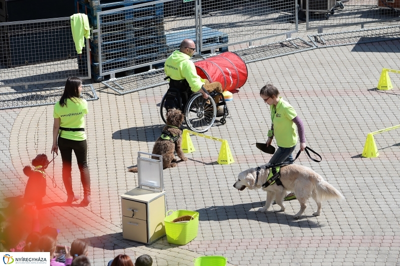 Helló Nyíregyháza napközben