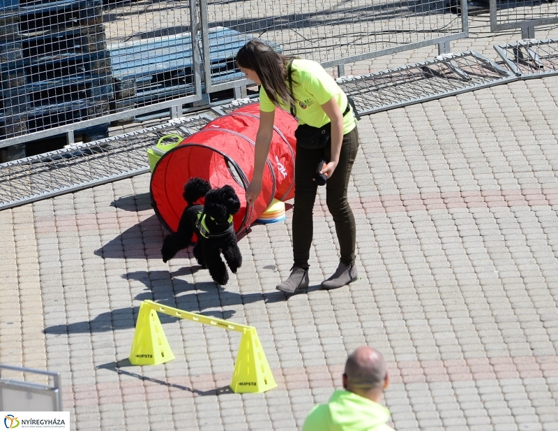 Helló Nyíregyháza napközben