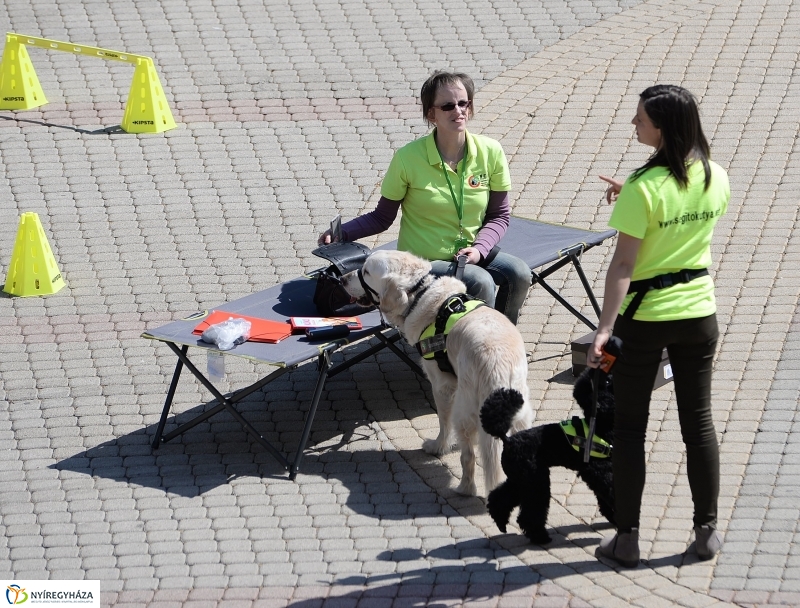Helló Nyíregyháza napközben
