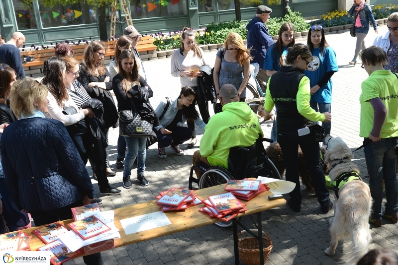 Helló Nyíregyháza napközben