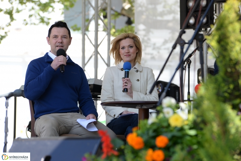 Helló Nyíregyháza napközben