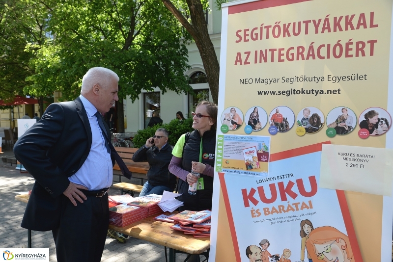 Helló Nyíregyháza napközben