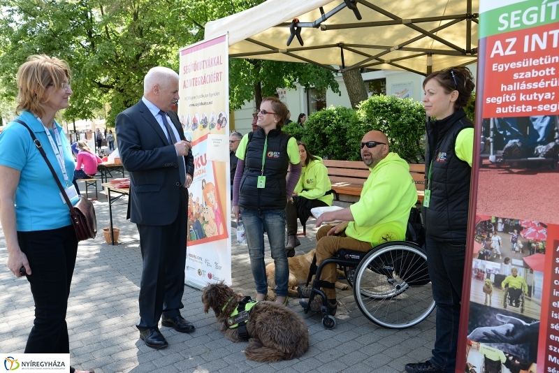 Helló Nyíregyháza napközben
