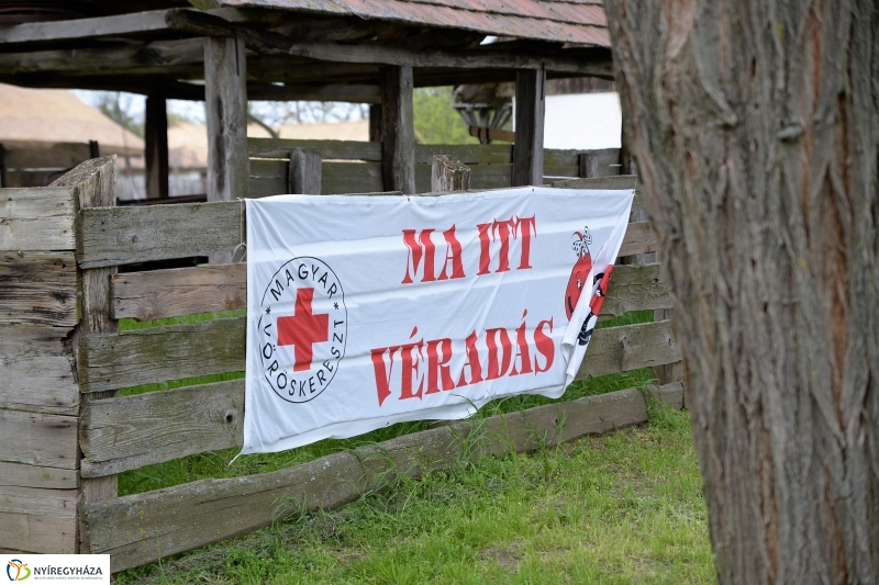 Motoros véradás a Falumúzeumban