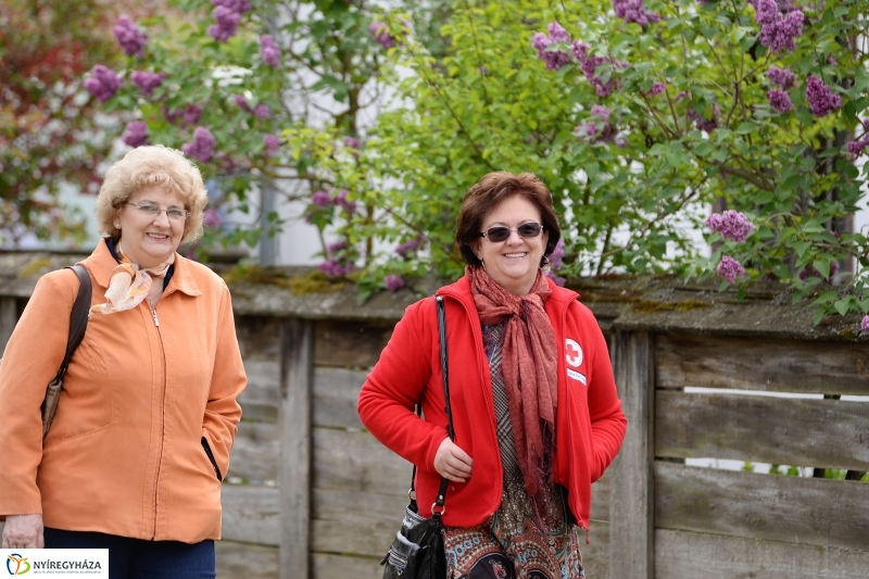 Motoros véradás a Falumúzeumban