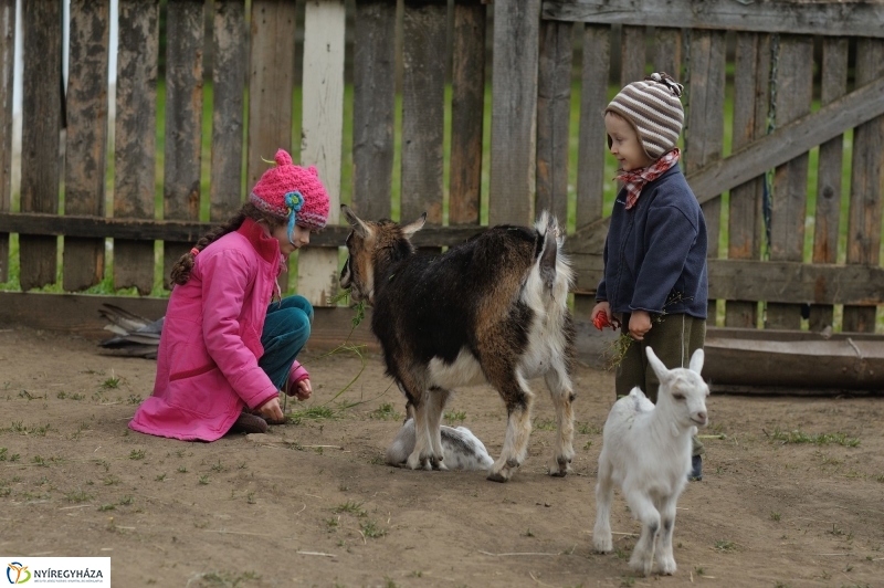 Falusi Majális sajtótájékoztató