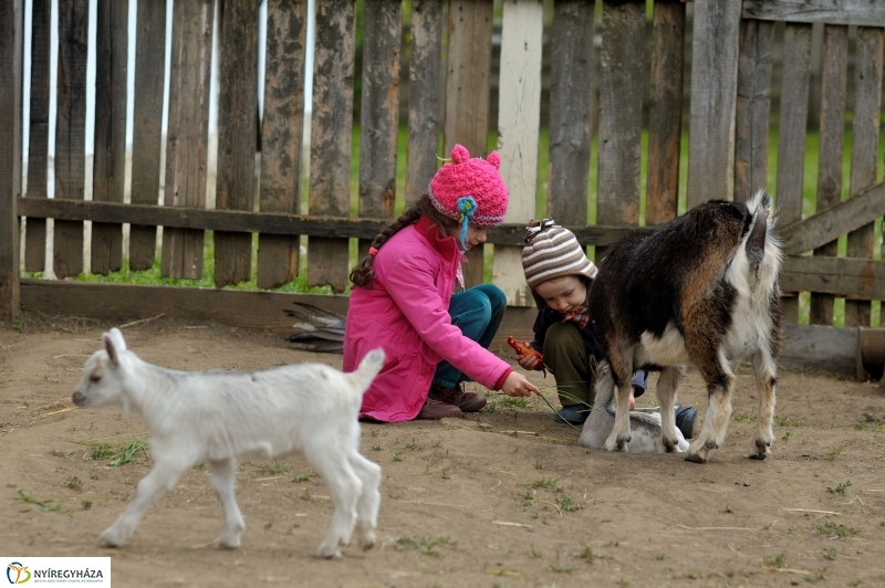 Falusi Majális sajtótájékoztató