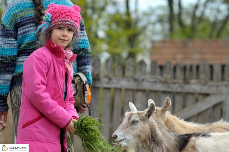 Falusi Majális sajtótájékoztató