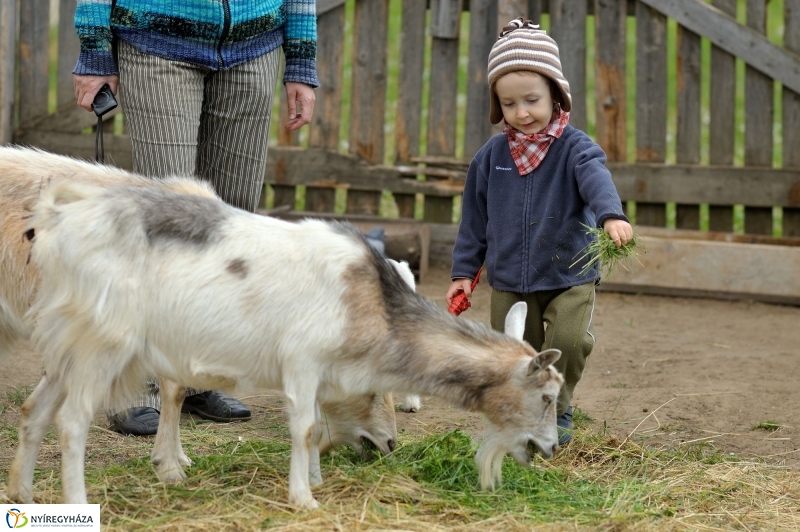 Falusi Majális sajtótájékoztató