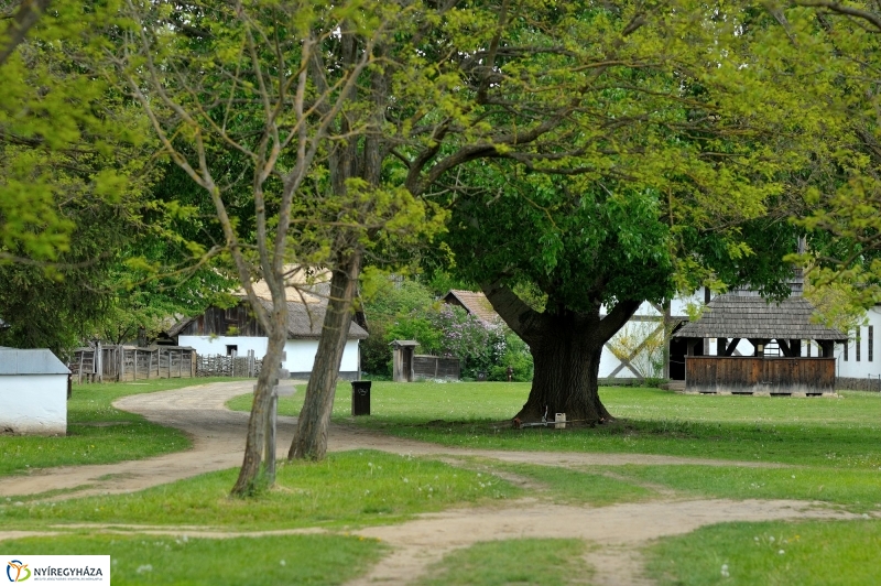 Falusi Majális sajtótájékoztató