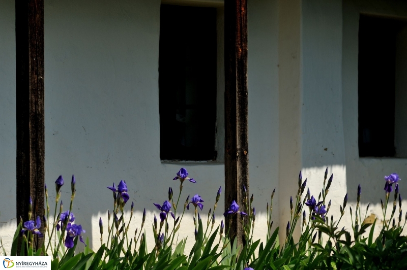 Falusi Majális sajtótájékoztató