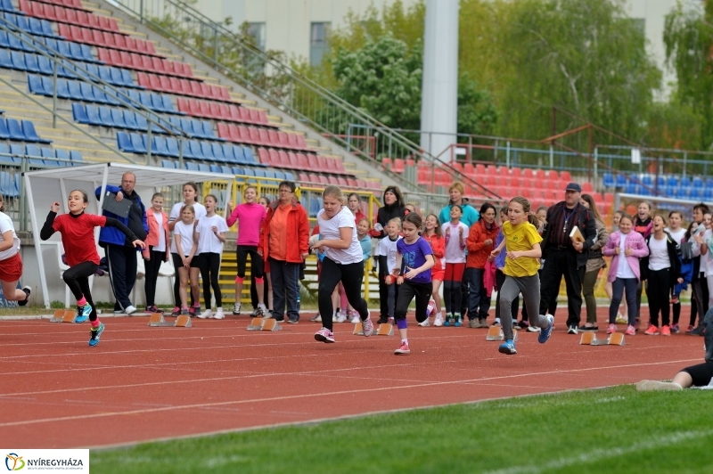 Diáksport támogatás