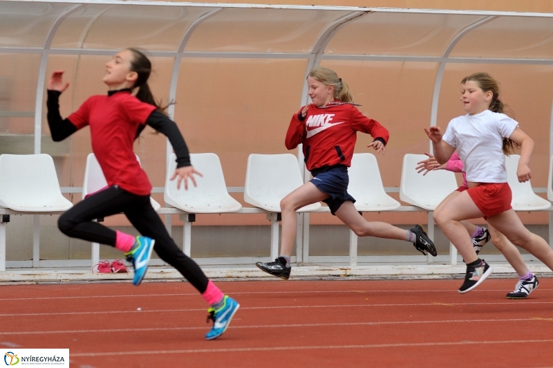 Diáksport támogatás