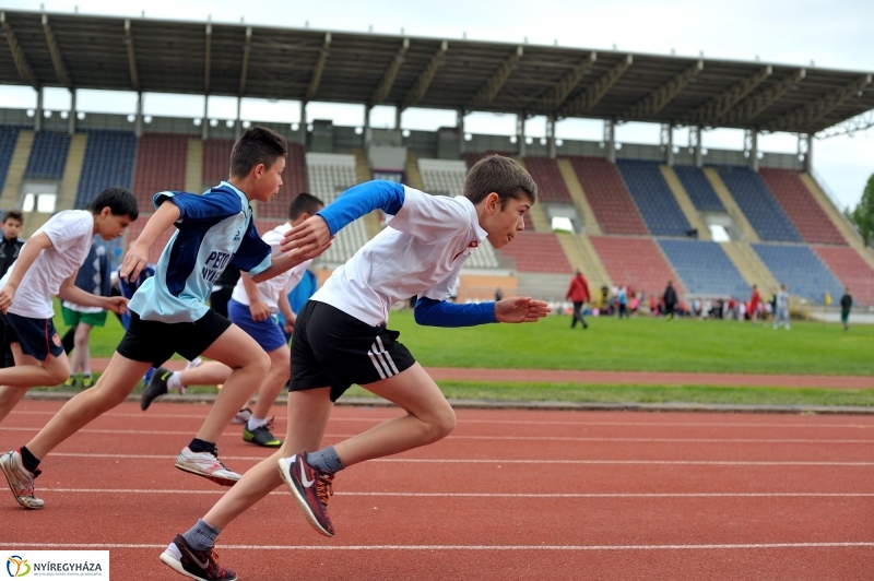 Diáksport támogatás