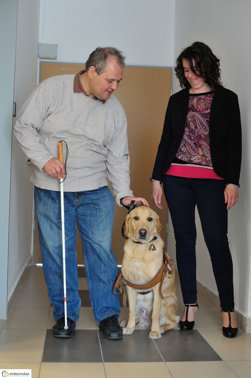 Érzékenyítő tréning a Városházán