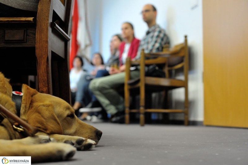 Érzékenyítő tréning a Városházán