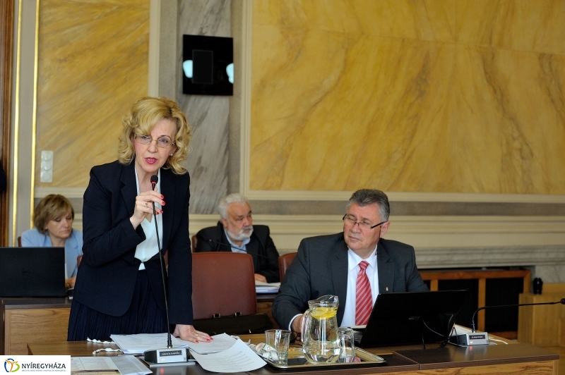 Városi Közgyűlés 20160428