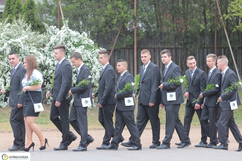 Elballagtak a lippaisok I.