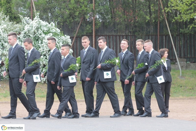 Elballagtak a lippaisok I.