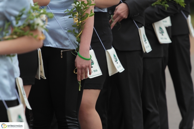 Elballagtak a lippaisok I.