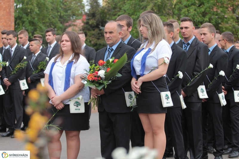 Elballagtak a lippaisok I.