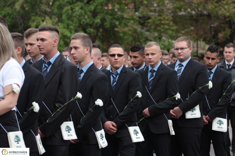 Elballagtak a lippaisok II.