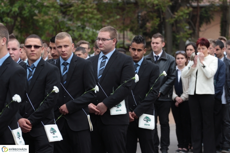 Elballagtak a lippaisok II.