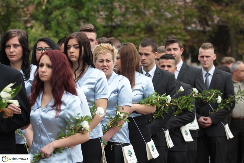 Elballagtak a lippaisok II.