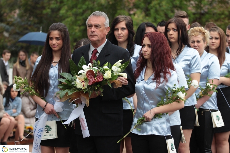 Elballagtak a lippaisok II.