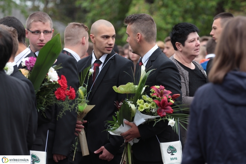 Elballagtak a lippaisok II.