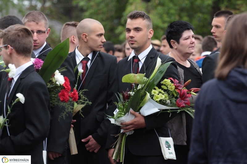 Elballagtak a lippaisok II.