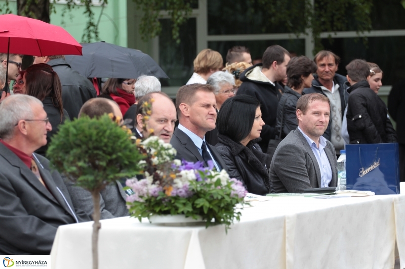 Elballagtak a lippaisok II.