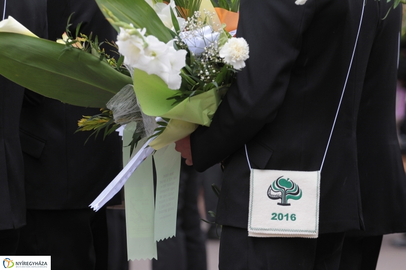 Elballagtak a lippaisok II.