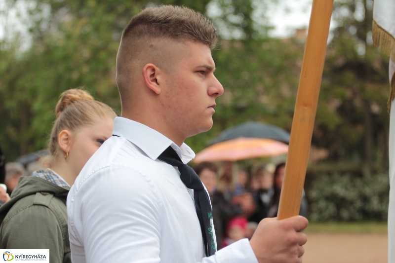 Elballagtak a lippaisok II.