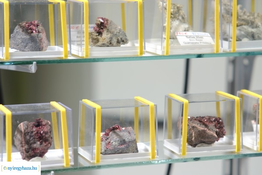 35. Ásványbörze Nyíregyházán