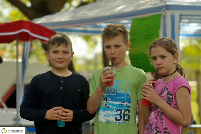 Majális Mandabokorban 2016