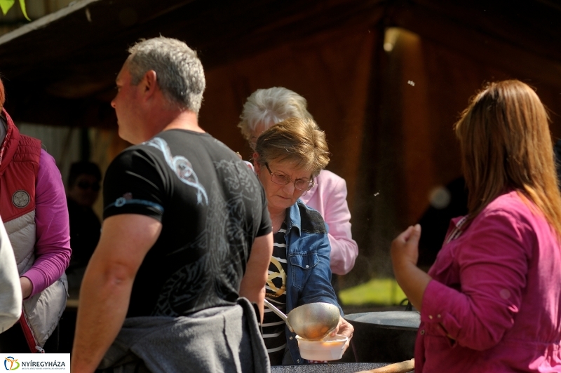 Majális Mandabokorban 2016