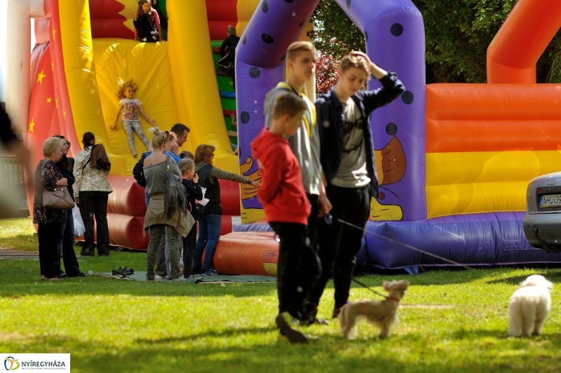 Majális Mandabokorban 2016