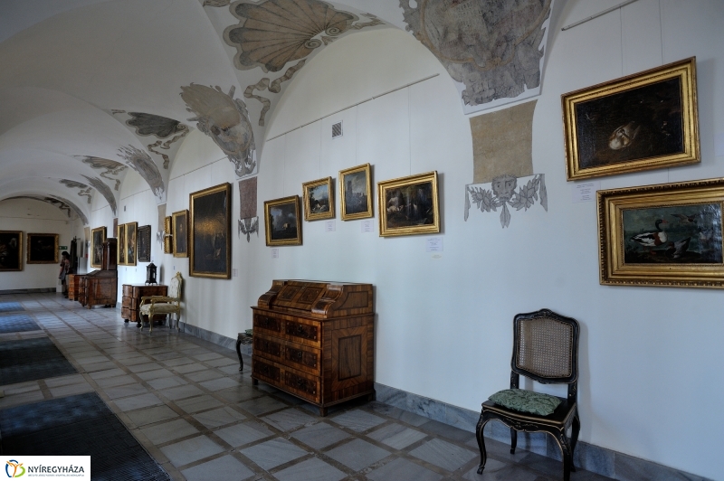 Paniaga ünnep és testvérvárosi találkozó Rzeszówban I.